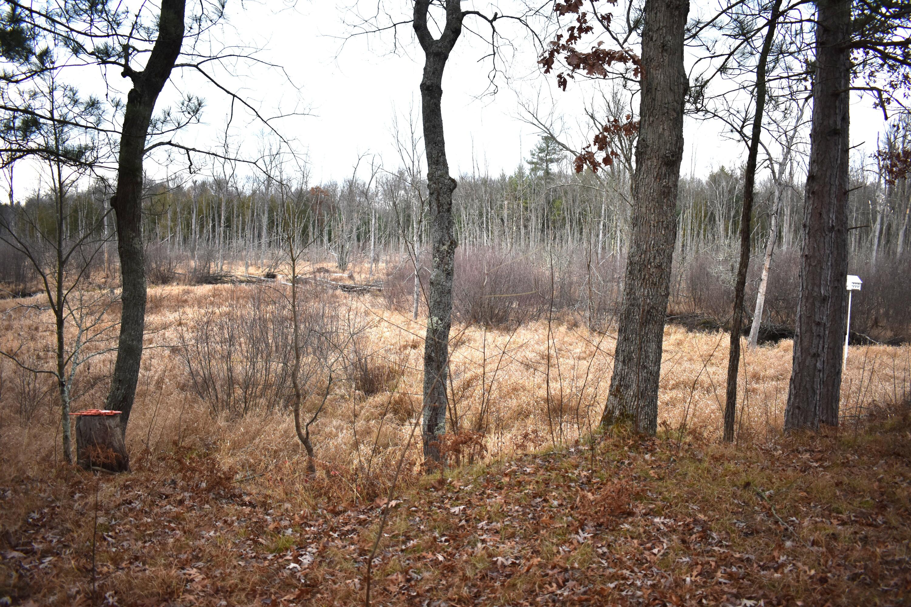 646 3 Mile Road Luther, MI 49656 - Photo 5 of 8 DSC_0739