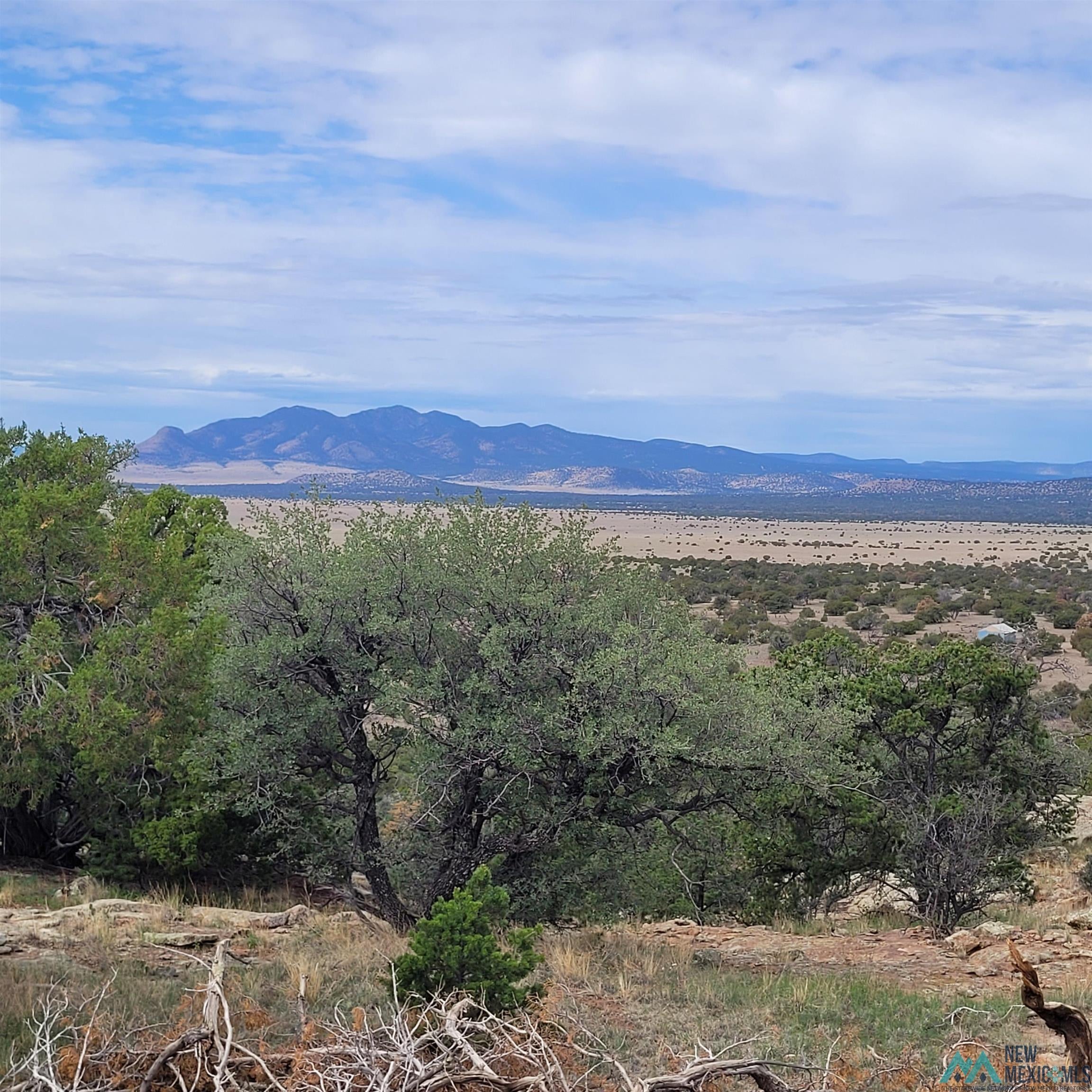 Xx Lookout Loop Datil, NM 87821 - Photo 37 of 38 Gallery Image 37