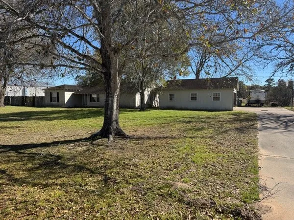 a view of a tree with a yard