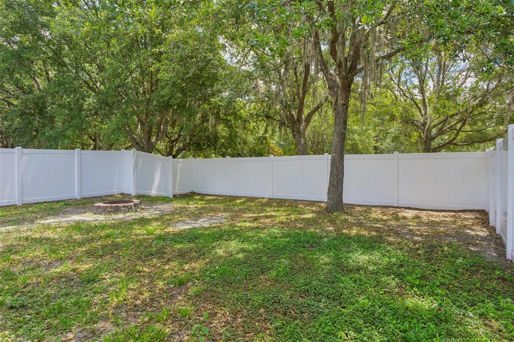 25932 Terrawood Loop Land O Lakes, FL 34639 - Photo 28 of 28 a backyard of a house