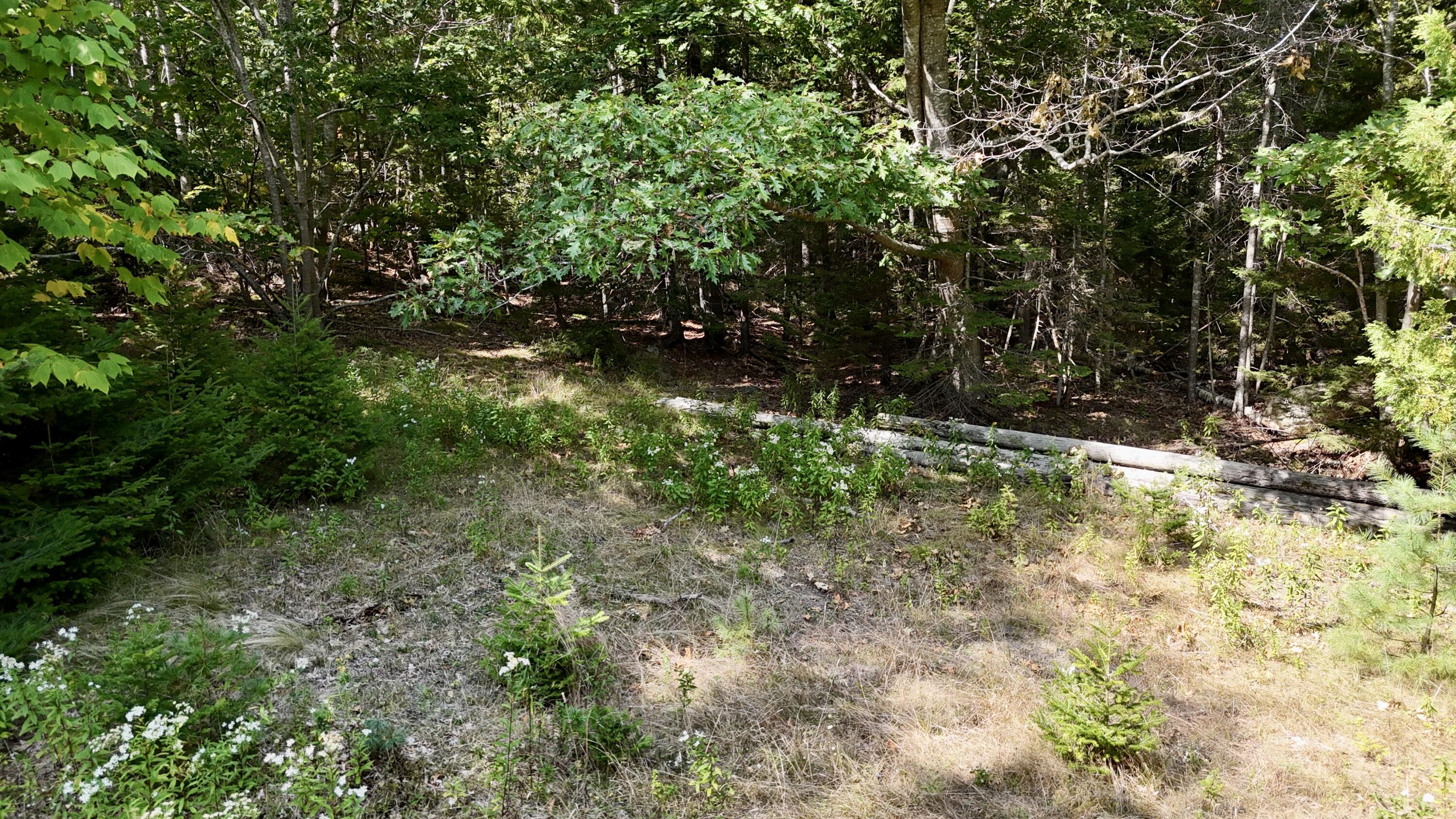540 Cape Rosier Road Harborside, ME 04642 - Photo 5 of 10 Photo Sep 18 2024, 12 57 17 PM