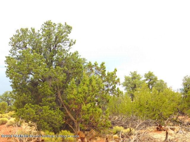 7313 Red Butte Road Williams, AZ 86046 - Photo 14 of 20 20180715050946272854000000-o