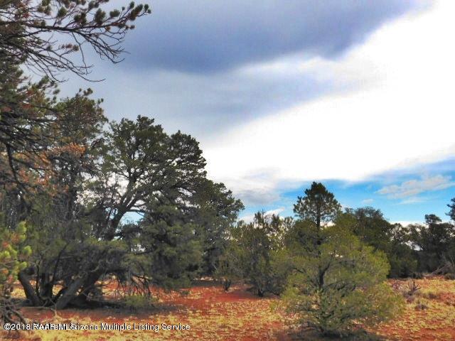 7313 Red Butte Road Williams, AZ 86046 - Photo 16 of 20 20180715051002638133000000-o