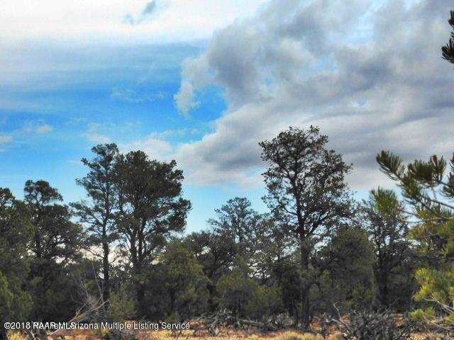 7313 Red Butte Road Williams, AZ 86046 - Photo 17 of 20 20180715051012887615000000-o