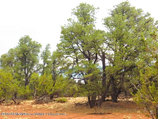 7313 Red Butte Road Williams, AZ 86046 - Photo 20 of 20 20180715051026678772000000-o