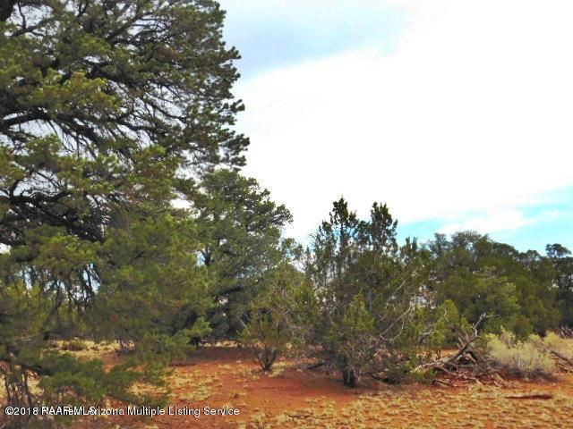 7313 Red Butte Road Williams, AZ 86046 - Photo 8 of 20 20180715050554156912000000-o