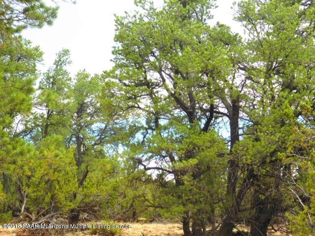 7313 Red Butte Road Williams, AZ 86046 - Photo 9 of 20 20180715050605515023000000-o