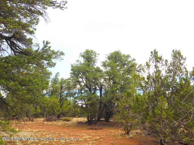 7313 Red Butte Road Williams, AZ 86046 - Photo 10 of 20 20180715050610490459000000-o