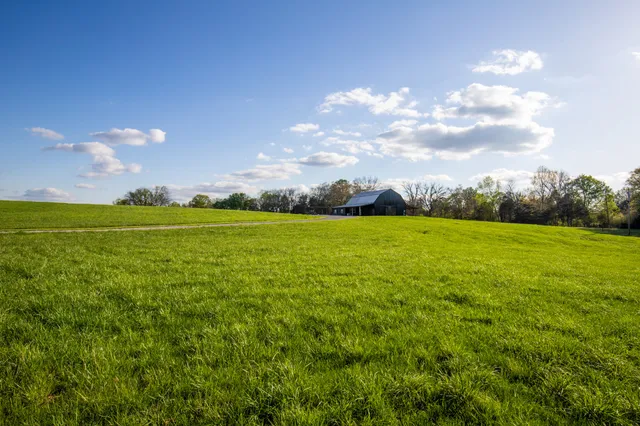 $785,000 | 0 Burnt Hill Road, Unionville, TN 37180