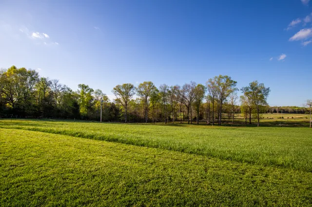 $785,000 | 0 Burnt Hill Road, Unionville, TN 37180