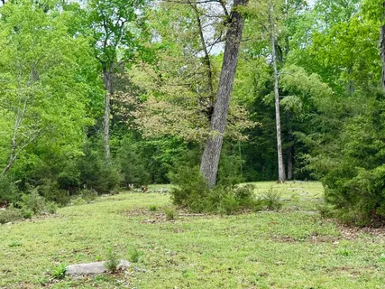 $785,000 | 0 Burnt Hill Road, Unionville, TN 37180