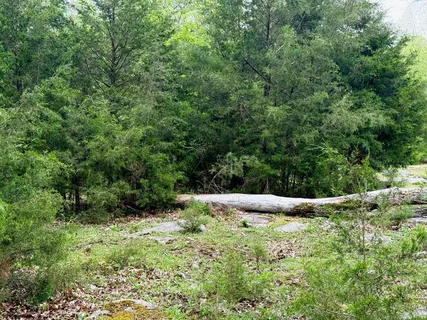 $785,000 | 0 Burnt Hill Road, Unionville, TN 37180