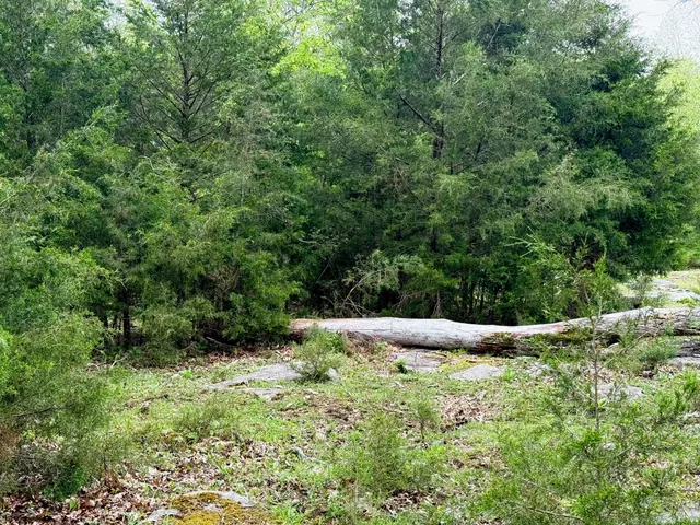 $785,000 | 0 Burnt Hill Road, Unionville, TN 37180