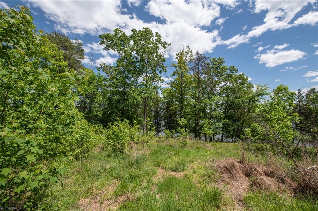 0 Estate Road Semora, NC 27343 - Photo 21 of 22 Gallery Image 21