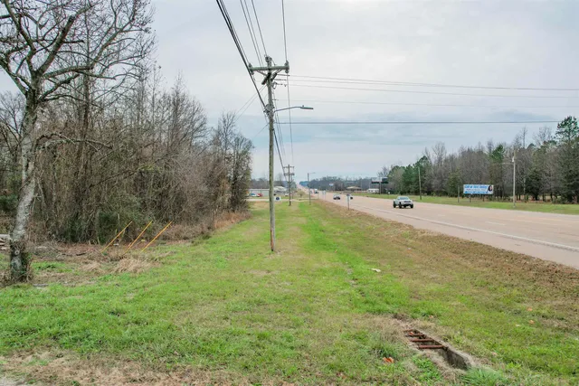 a view of a park with large trees