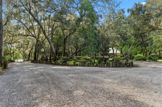 a view of a backyard