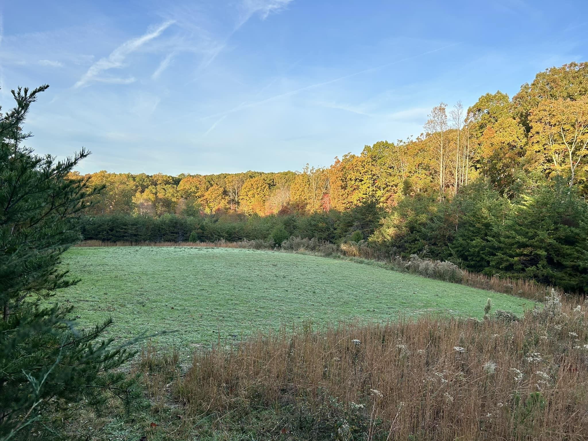 1485 Pine Ridge Road Huddleston, VA 24104 - Photo 20 of 52 a view of an outdoor space and a yard