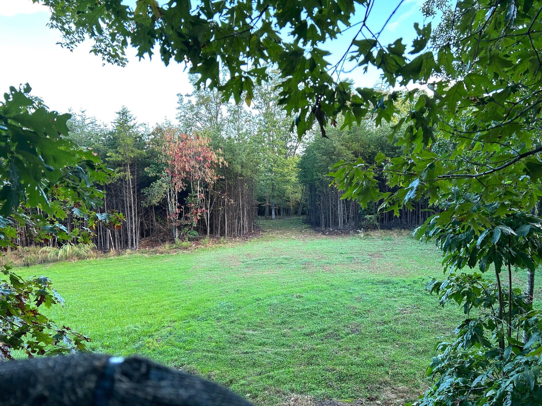 1485 Pine Ridge Road Huddleston, VA 24104 - Photo 21 of 52 a backyard of a house with lots of green space