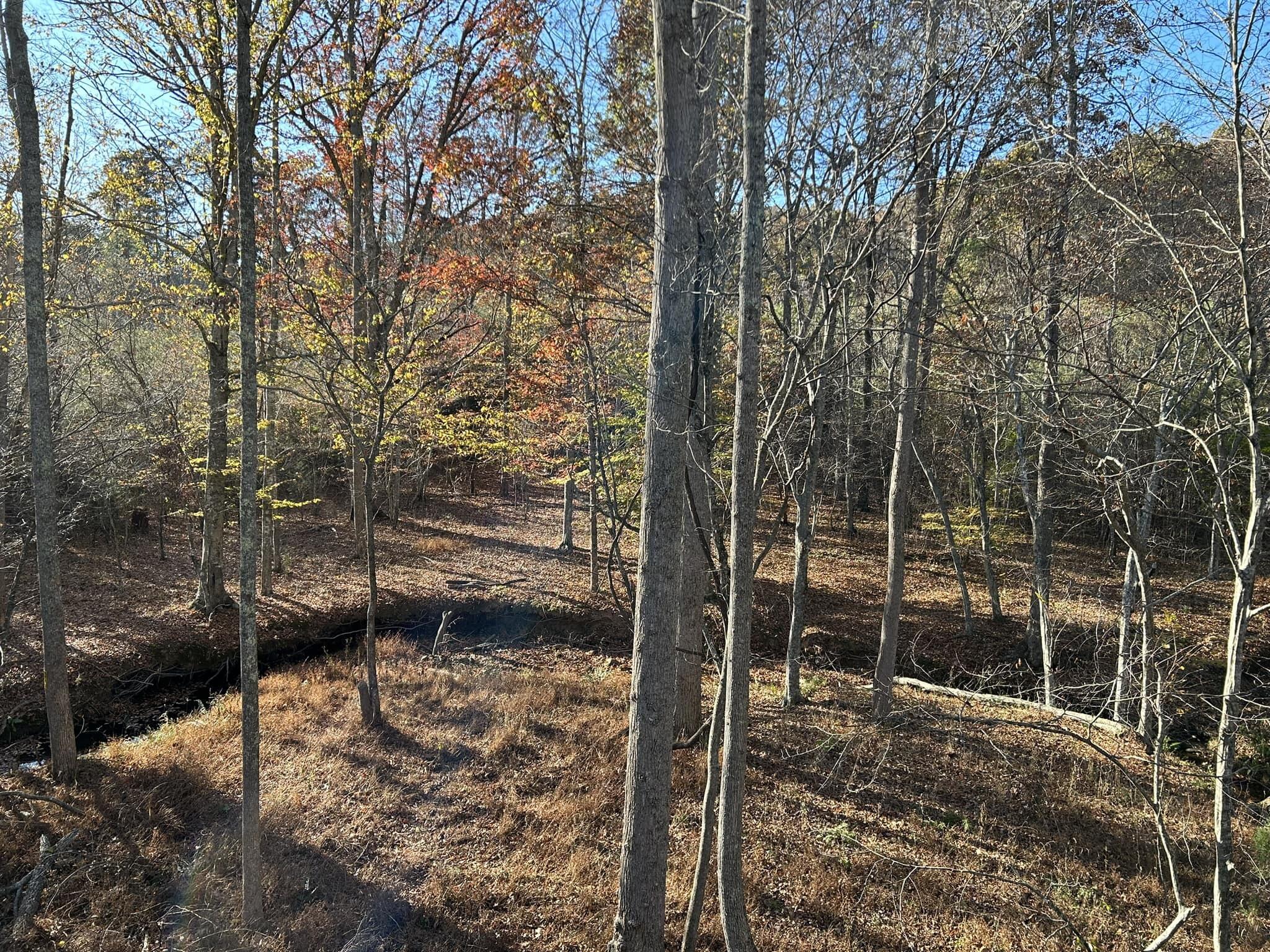 1485 Pine Ridge Road Huddleston, VA 24104 - Photo 22 of 52 a view of a backyard of the house