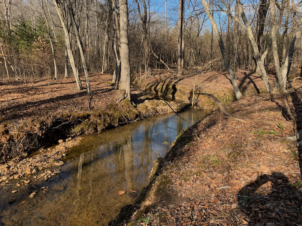 1485 Pine Ridge Road Huddleston, VA 24104 - Photo 23 of 52 a view of a yard with wooden fence