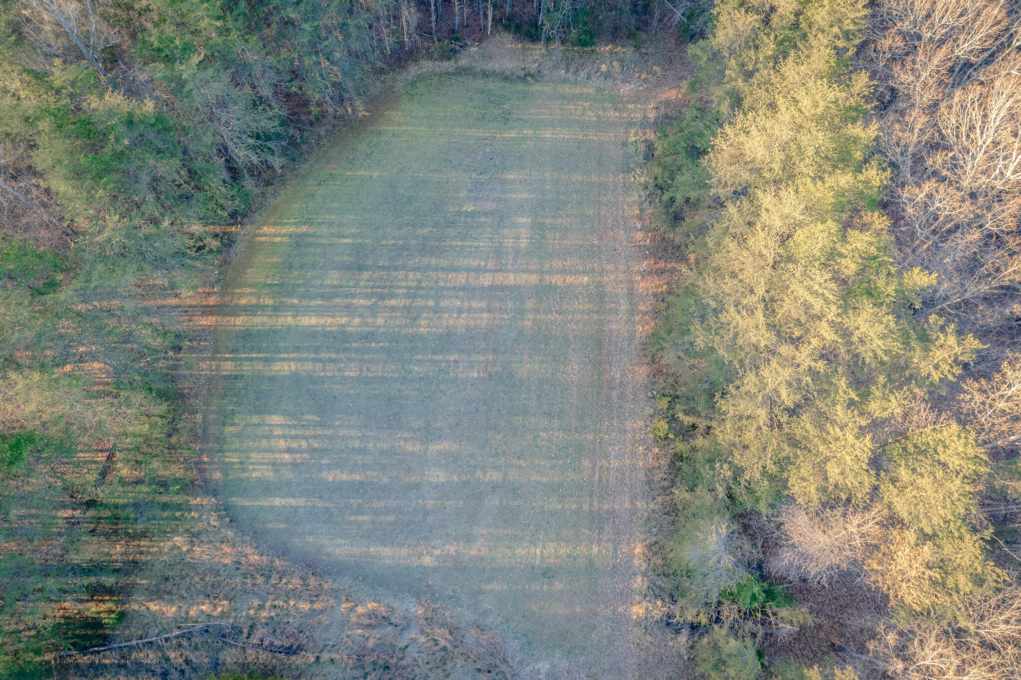 1485 Pine Ridge Road Huddleston, VA 24104 - Photo 24 of 52 Hank 51