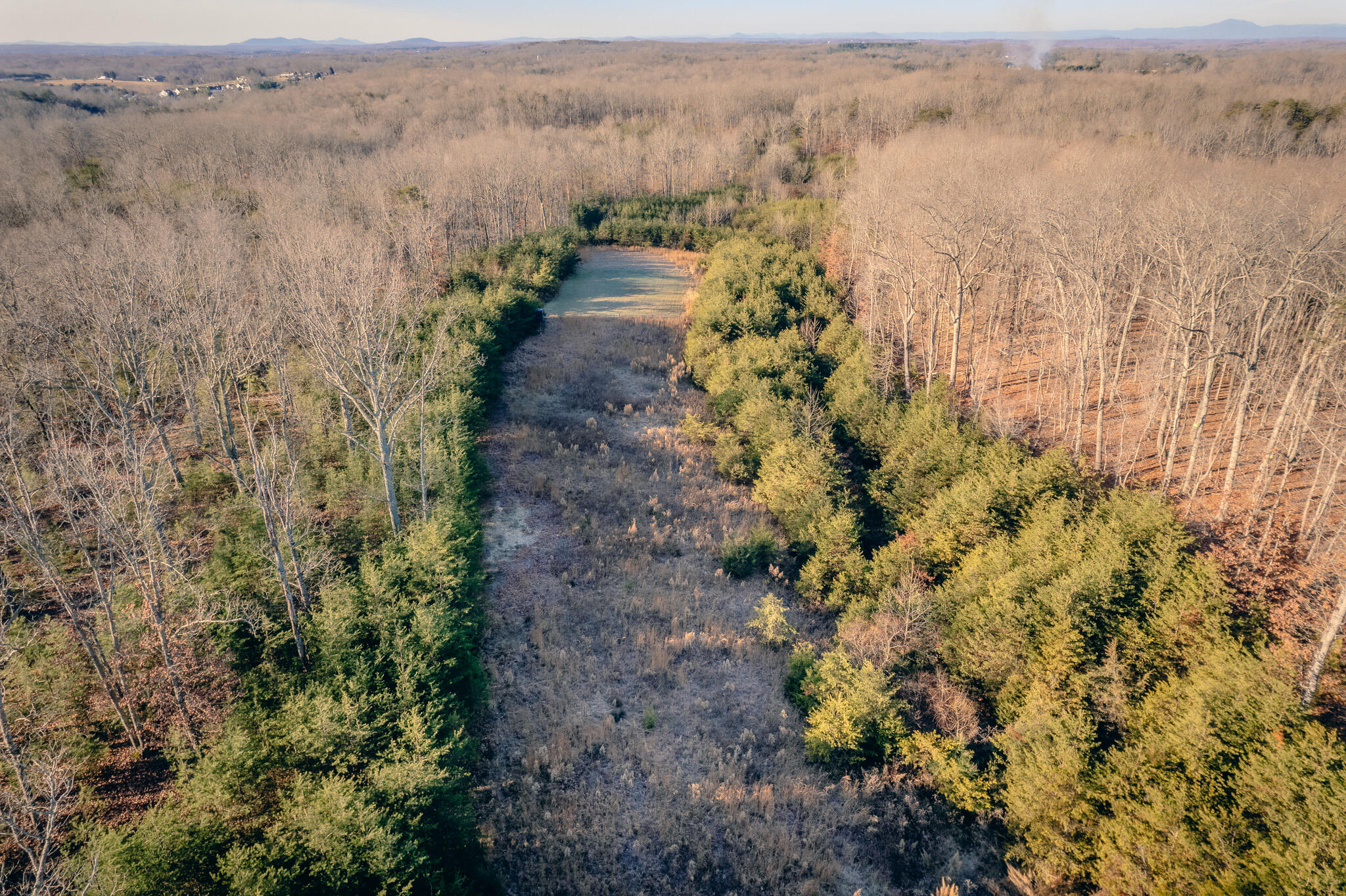 1485 Pine Ridge Road Huddleston, VA 24104 - Photo 31 of 52 a view of a dry yard with trees