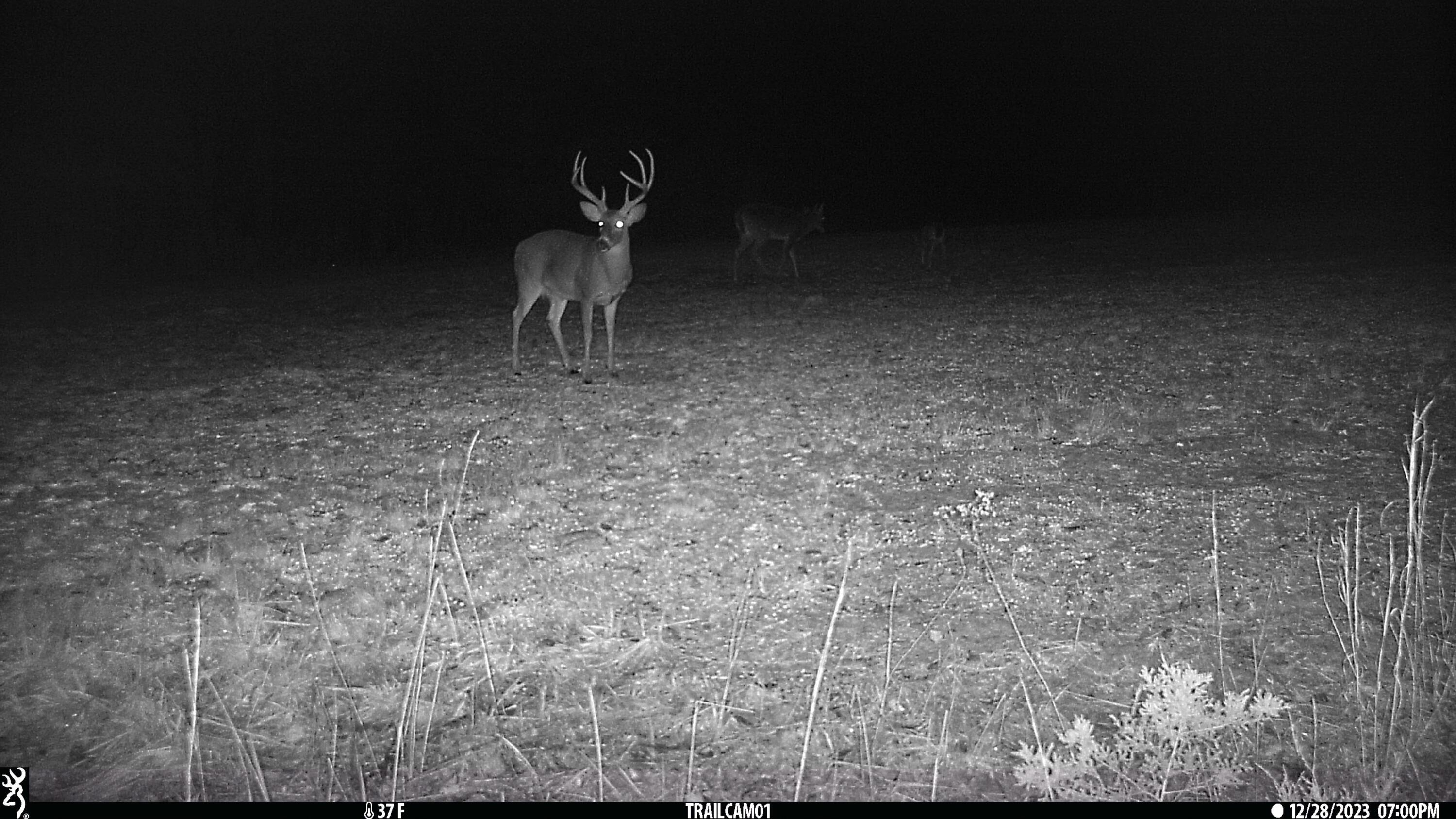 1485 Pine Ridge Road Huddleston, VA 24104 - Photo 39 of 52 a living room with a couch
