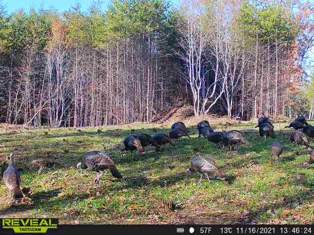 1485 Pine Ridge Road Huddleston, VA 24104 - Photo 41 of 52