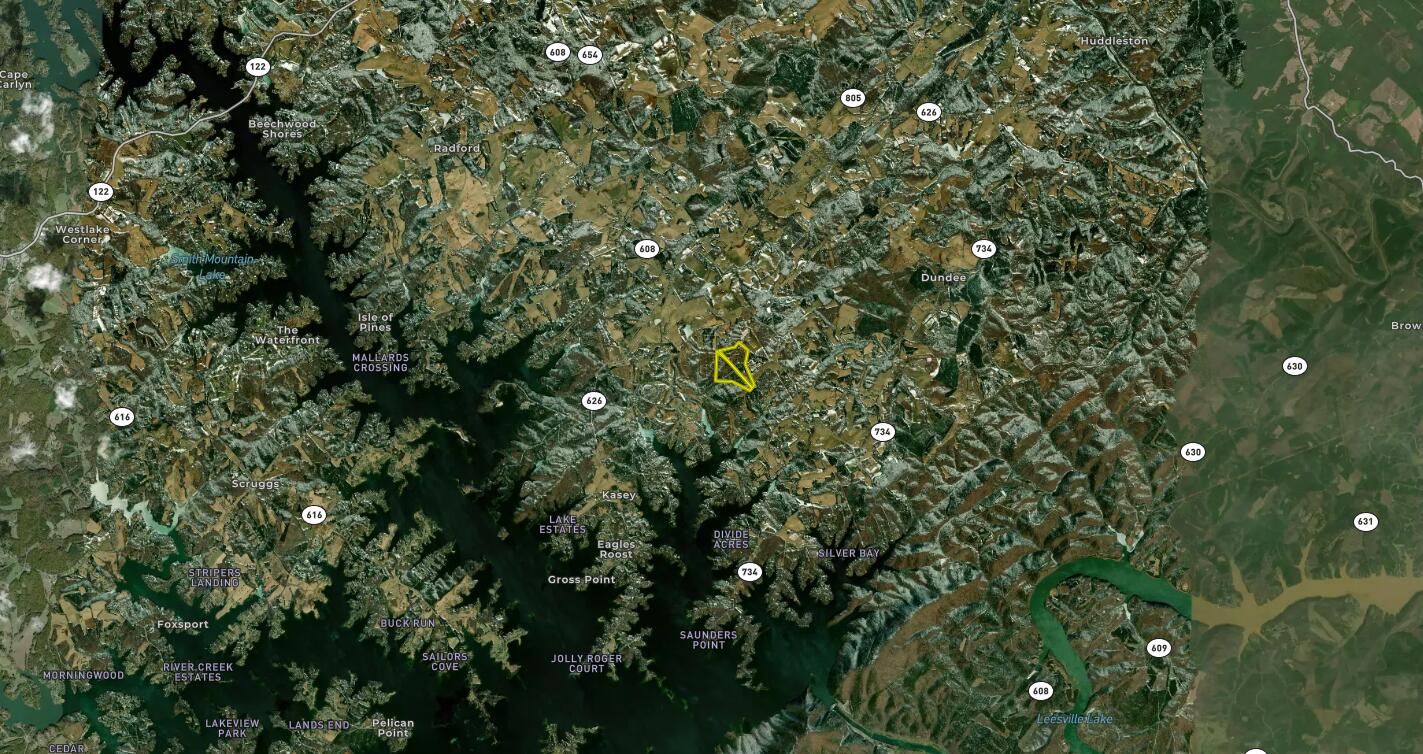 1485 Pine Ridge Road Huddleston, VA 24104 - Photo 50 of 52 a view of a tree