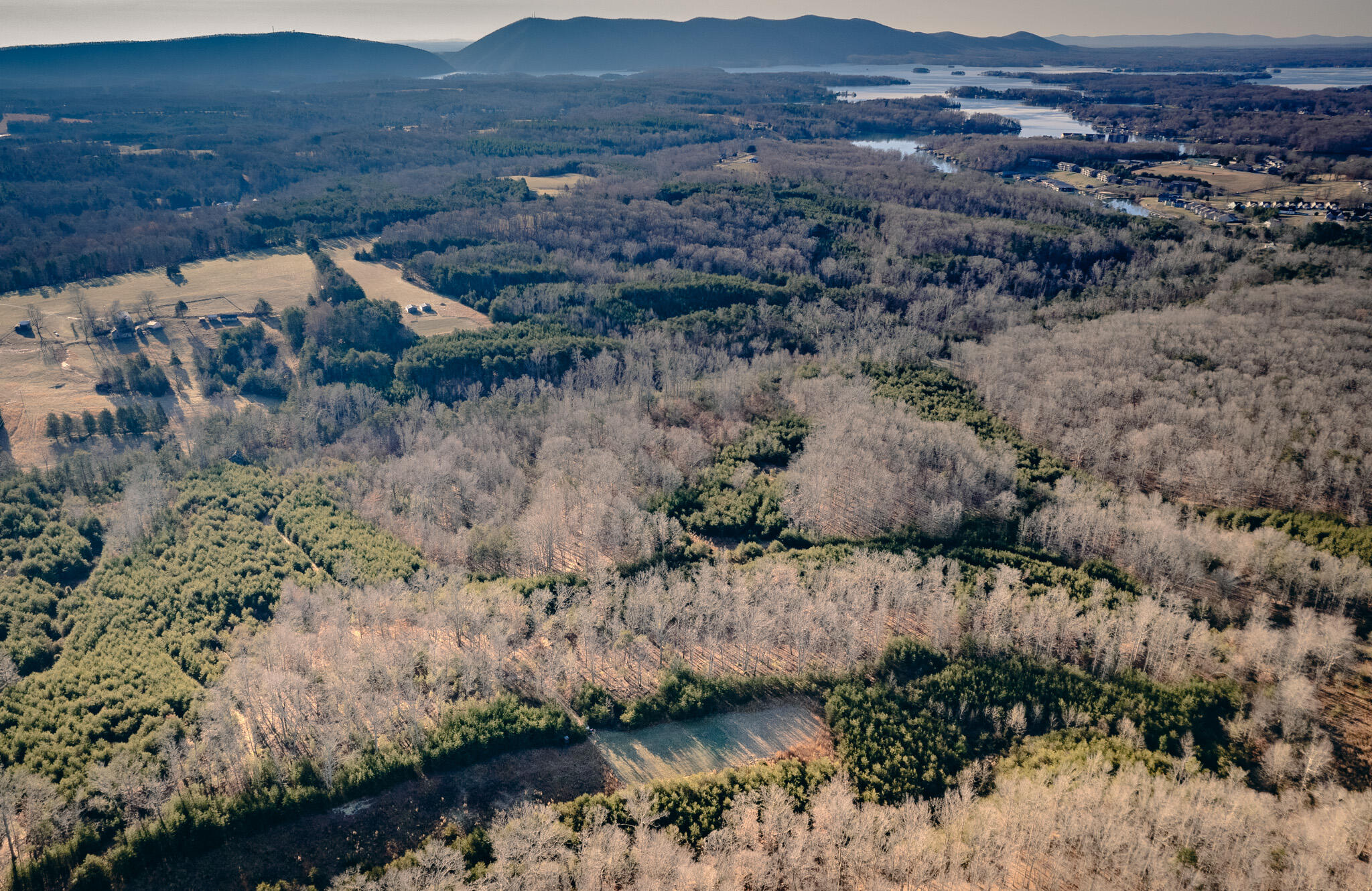 1485 Pine Ridge Road Huddleston, VA 24104 - Photo 5 of 52 a view of a lake with mountains and mountain view