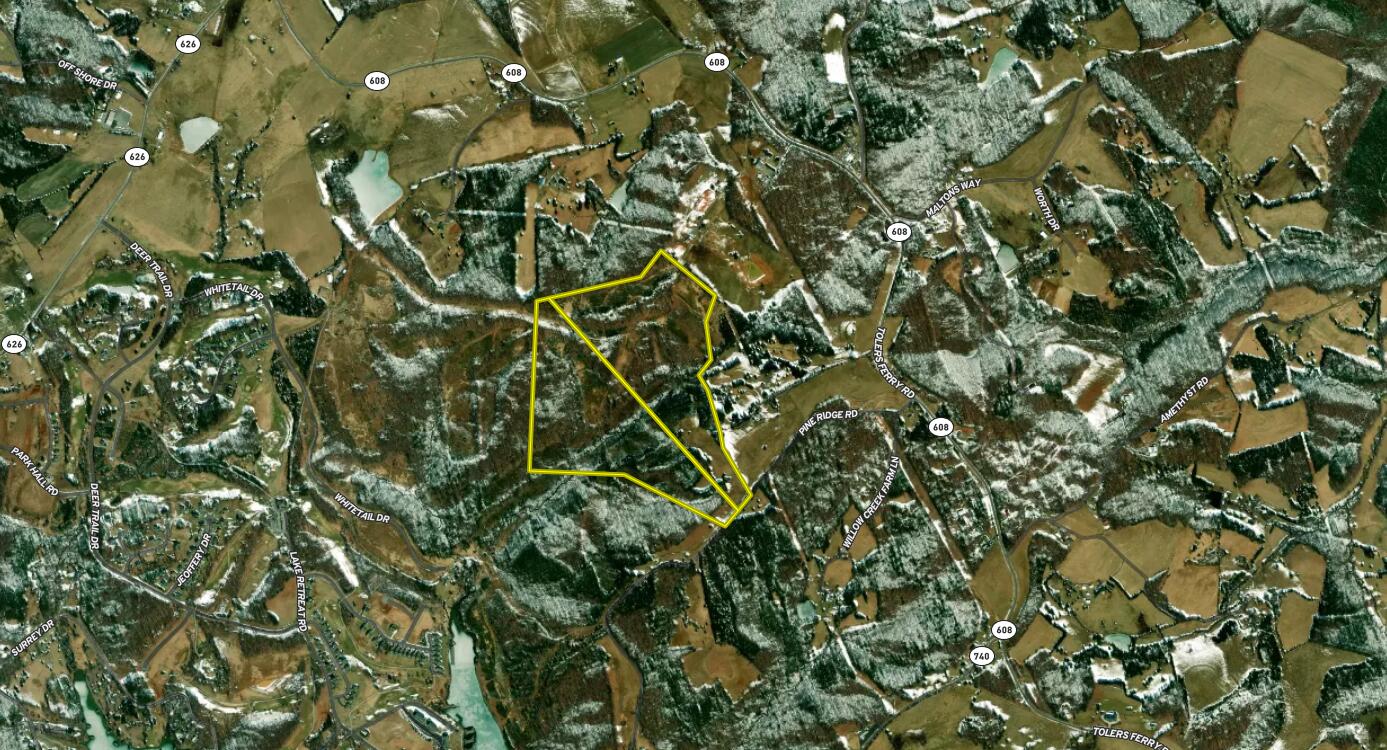 1485 Pine Ridge Road Huddleston, VA 24104 - Photo 51 of 52 a view of a tree