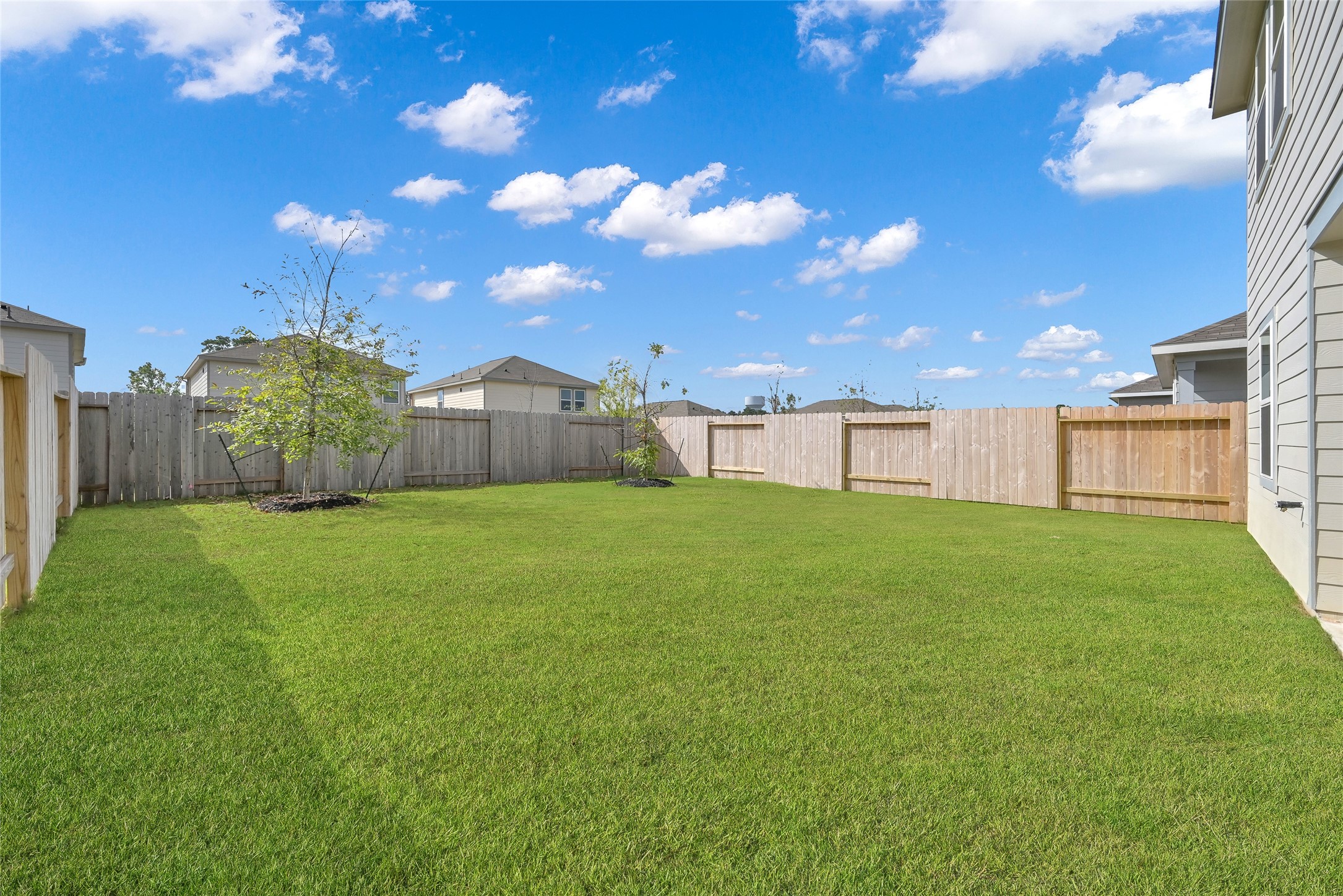 587 Firemoon Street Montgomery, TX 77316 - Photo 30 of 32