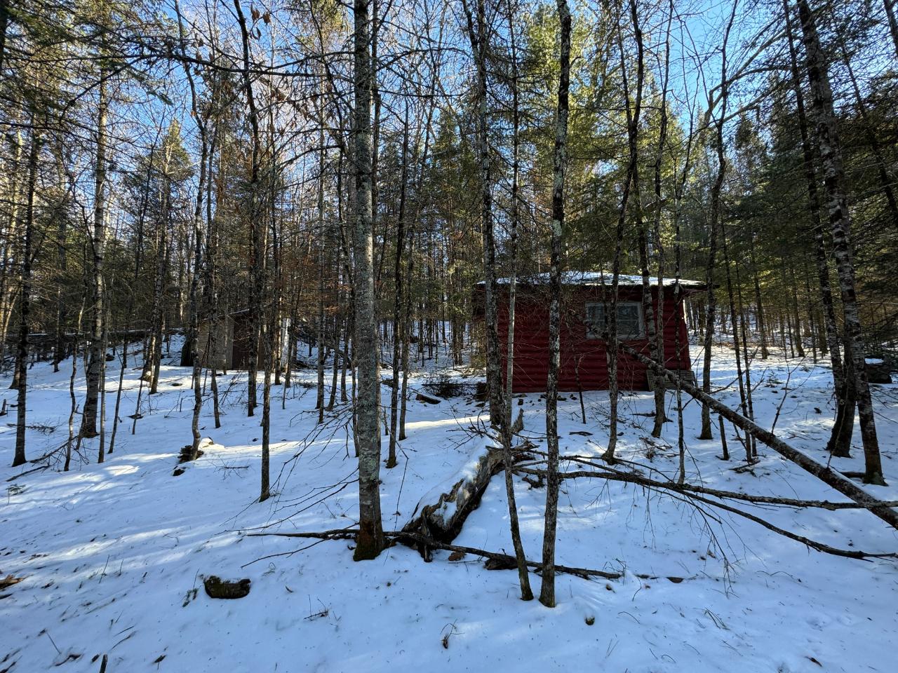 Lot 4 Fisher Lake Road Mercer, WI 54547 - Photo 14 of 17 Gallery Image 14