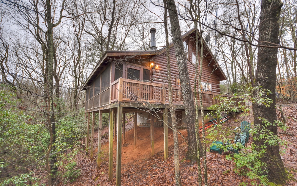 137 Ascherman Court Blue Ridge, GA 30513 - Photo 1 of 1 a front view of a house with a yard