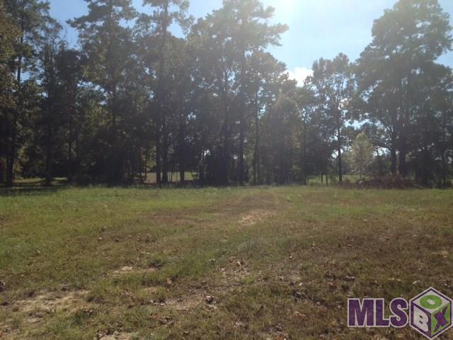 Lot D Idlewild Road Clinton, LA 70722 - Photo 9 of 9