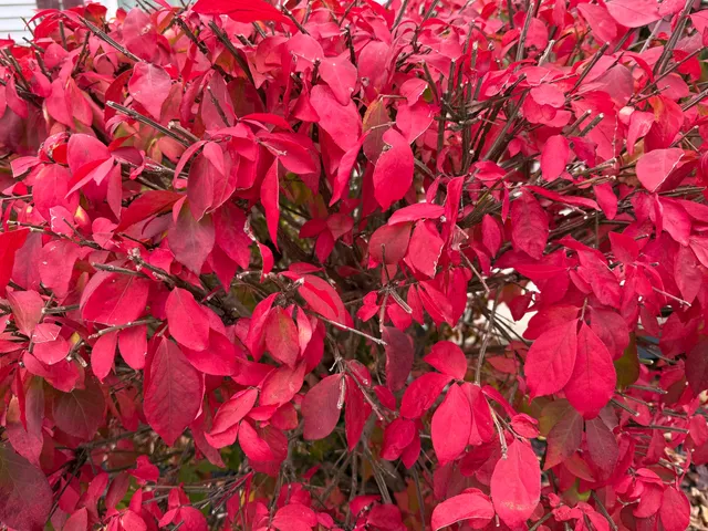 $225,000 | 1712 28th Street, Two Rivers, WI 54241