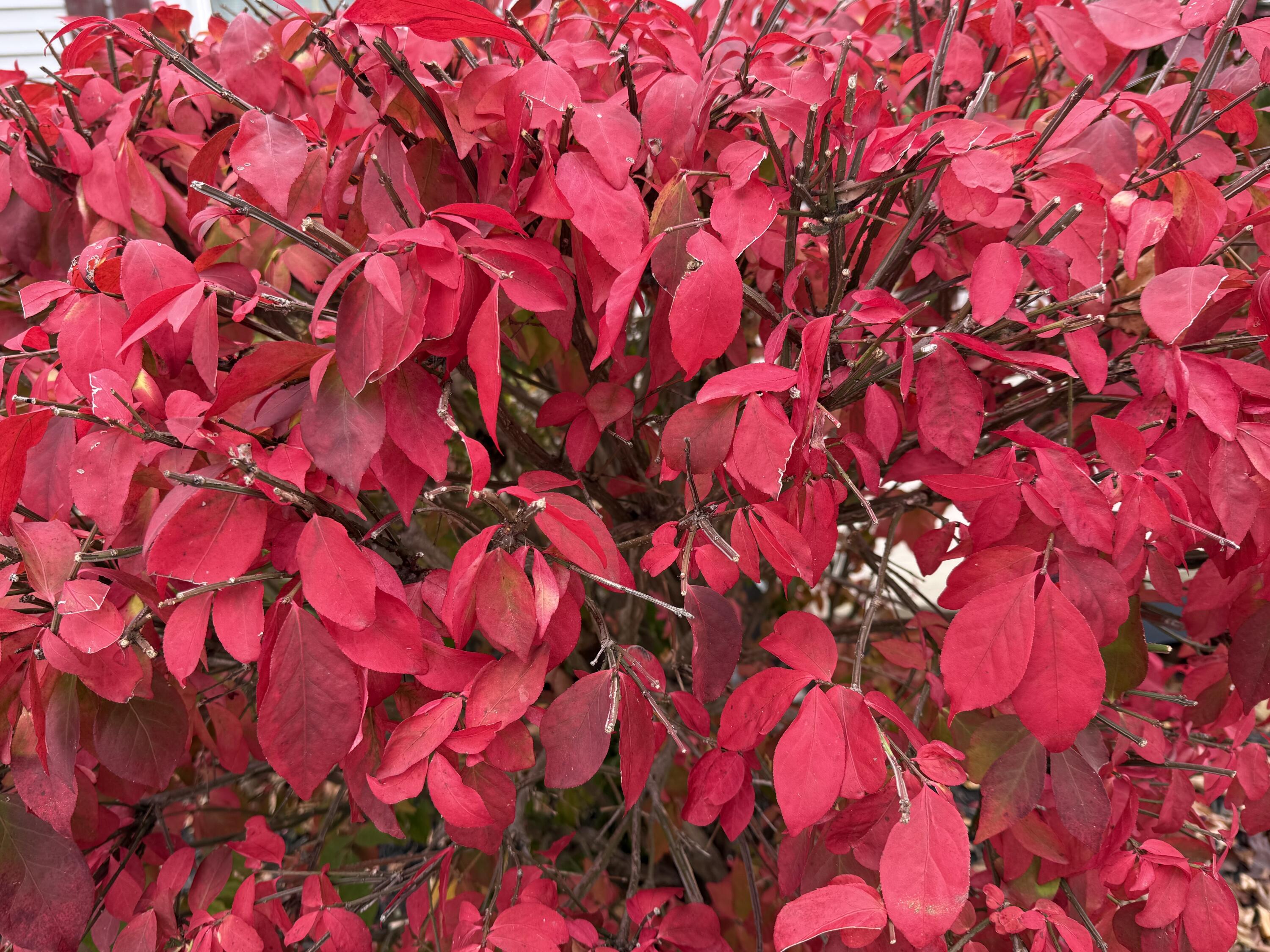 1712 28th Street Two Rivers, WI 54241 - Photo 26 of 26 IMG_4806