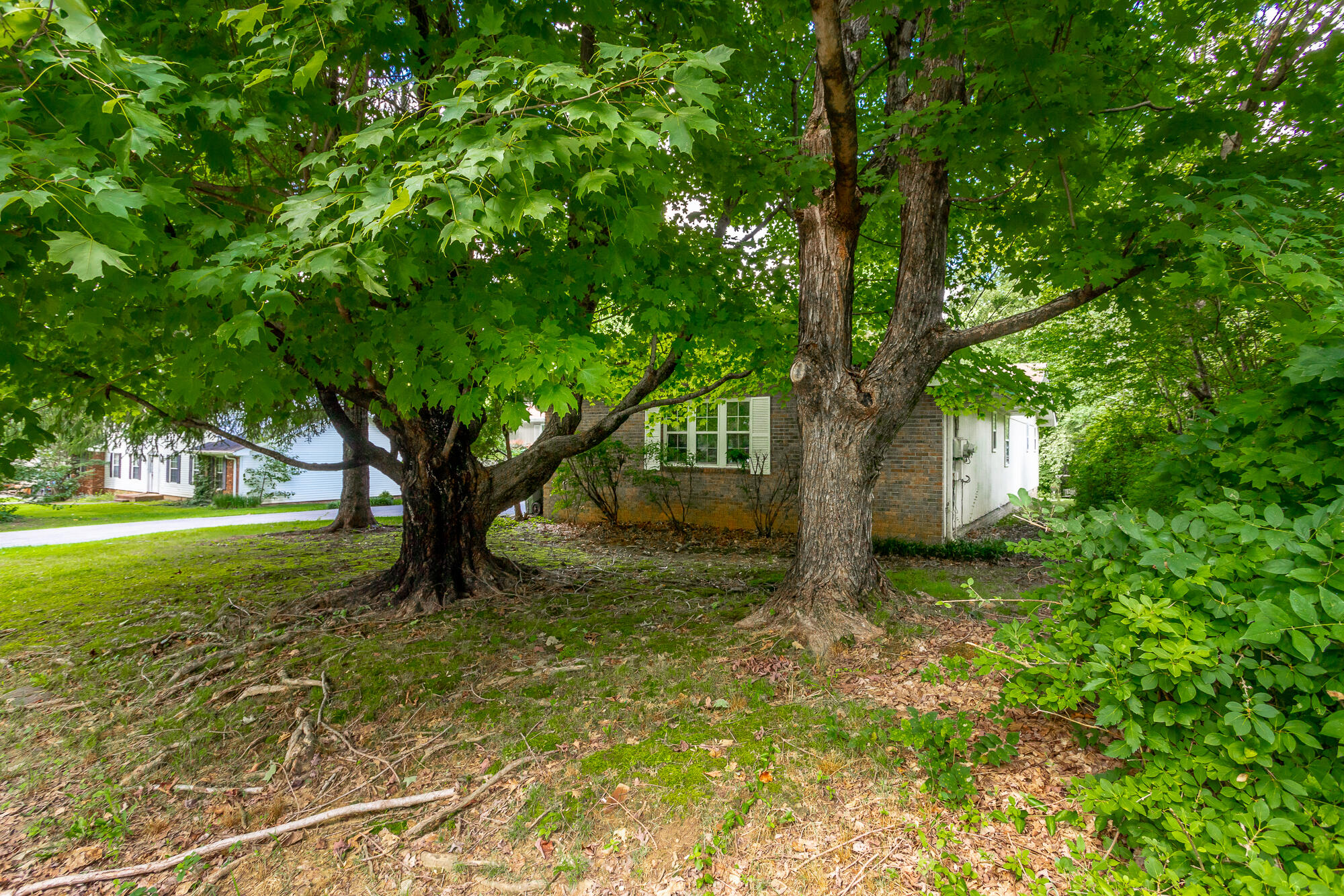 844 South Murrell Road Signal Mountain, TN 37377 - Photo 4 of 43 Exterior 4