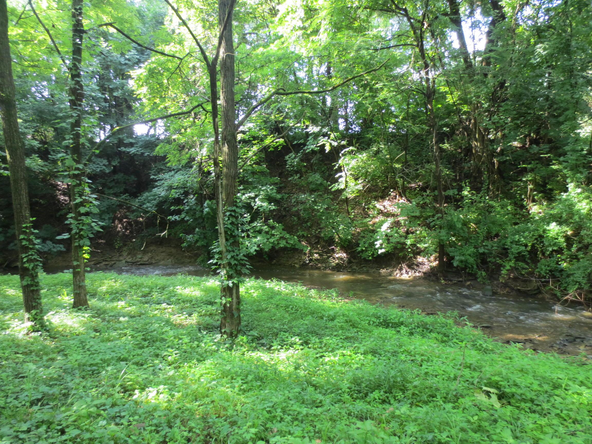 0 South Waggoner Road Reynoldsburg, OH 43068 - Photo 3 of 12