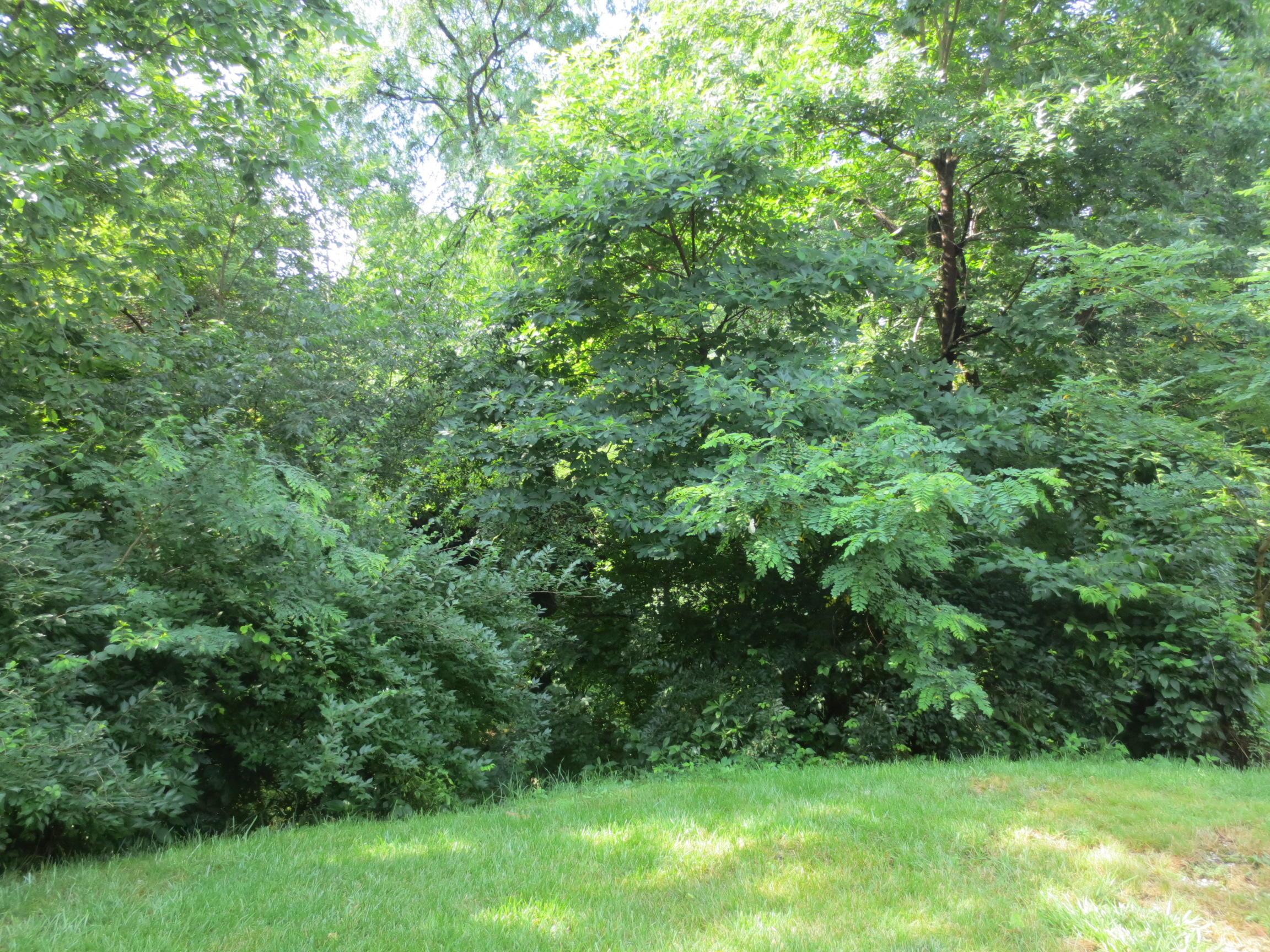 0 South Waggoner Road Reynoldsburg, OH 43068 - Photo 4 of 12