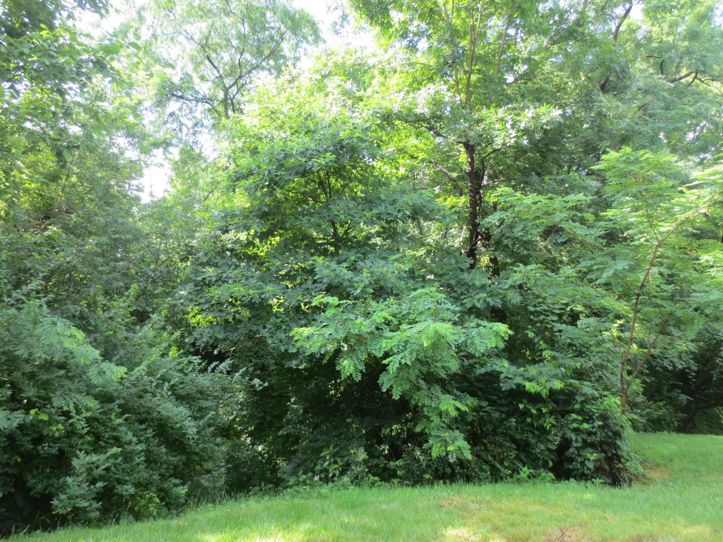 0 South Waggoner Road Reynoldsburg, OH 43068 - Photo 6 of 12