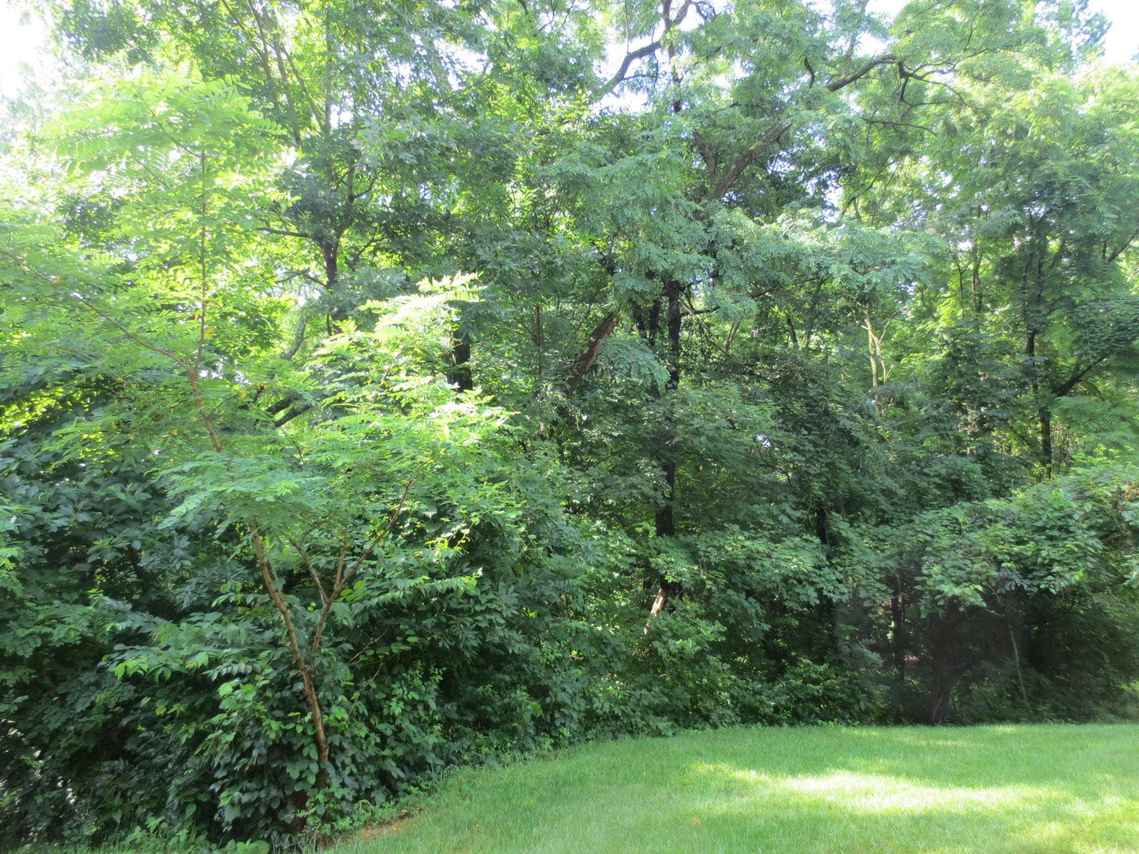 0 South Waggoner Road Reynoldsburg, OH 43068 - Photo 8 of 12