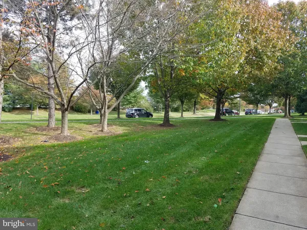 a view of a park with tree s