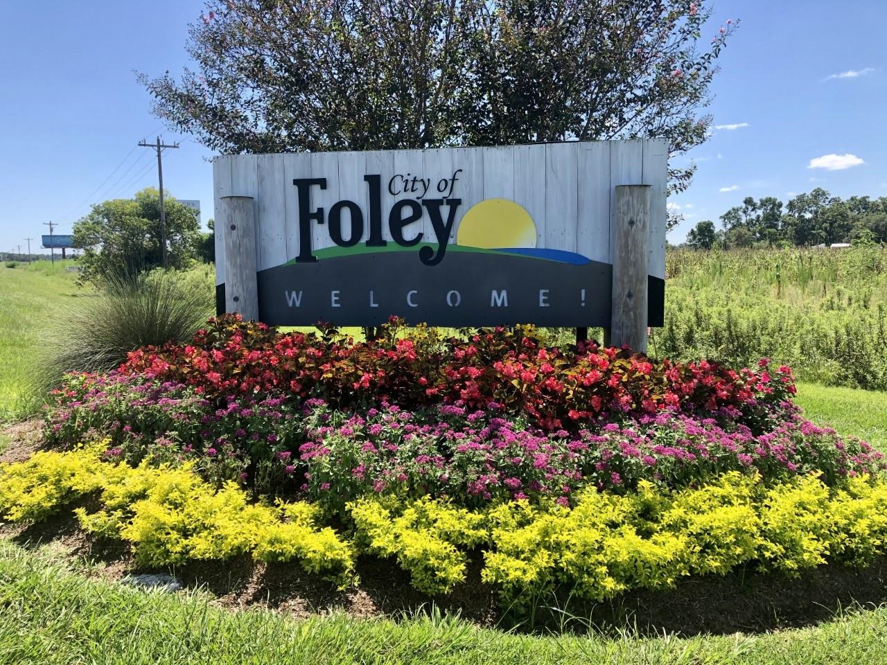 1712 Abbey Loop Foley, AL 36535 - Photo 32 of 32