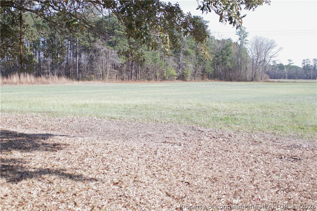 5029 Lovette Road Lumberton, NC 28358 - Photo 3 of 6 a view of a field with trees in the background