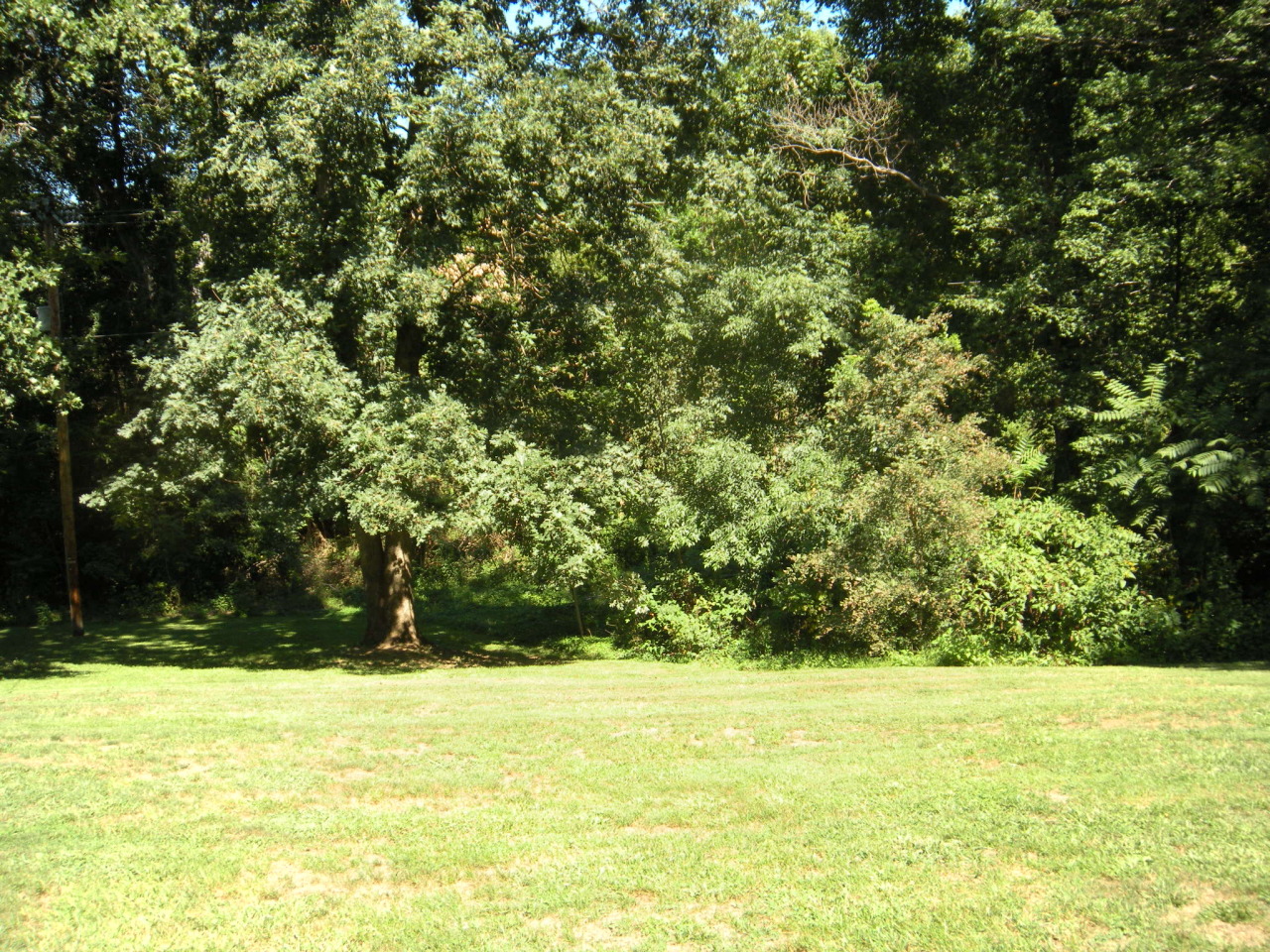 12947 Snow Creek Road Penhook, VA 24137 - Photo 25 of 35 huge back yard