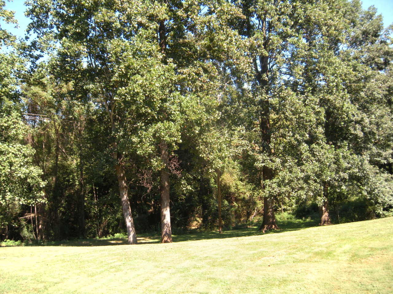 12947 Snow Creek Road Penhook, VA 24137 - Photo 28 of 35 .