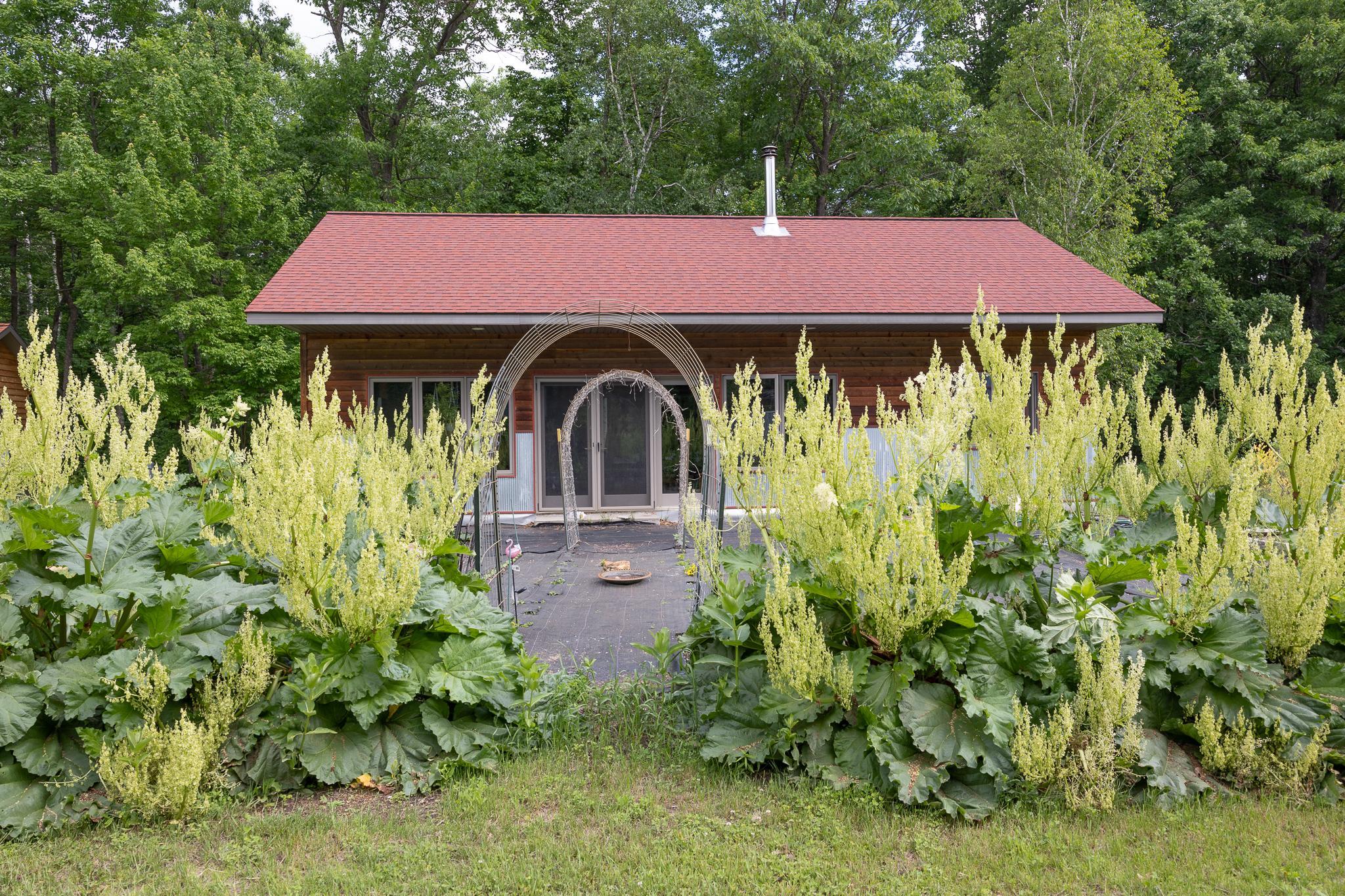 2251 Fahrenholz Road Northeast Longville, MN 56655 - Photo 54 of 62