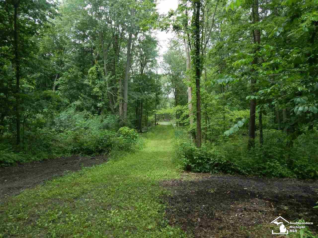 40 West Carleton Road Hudson, MI 49247 - Photo 7 of 25