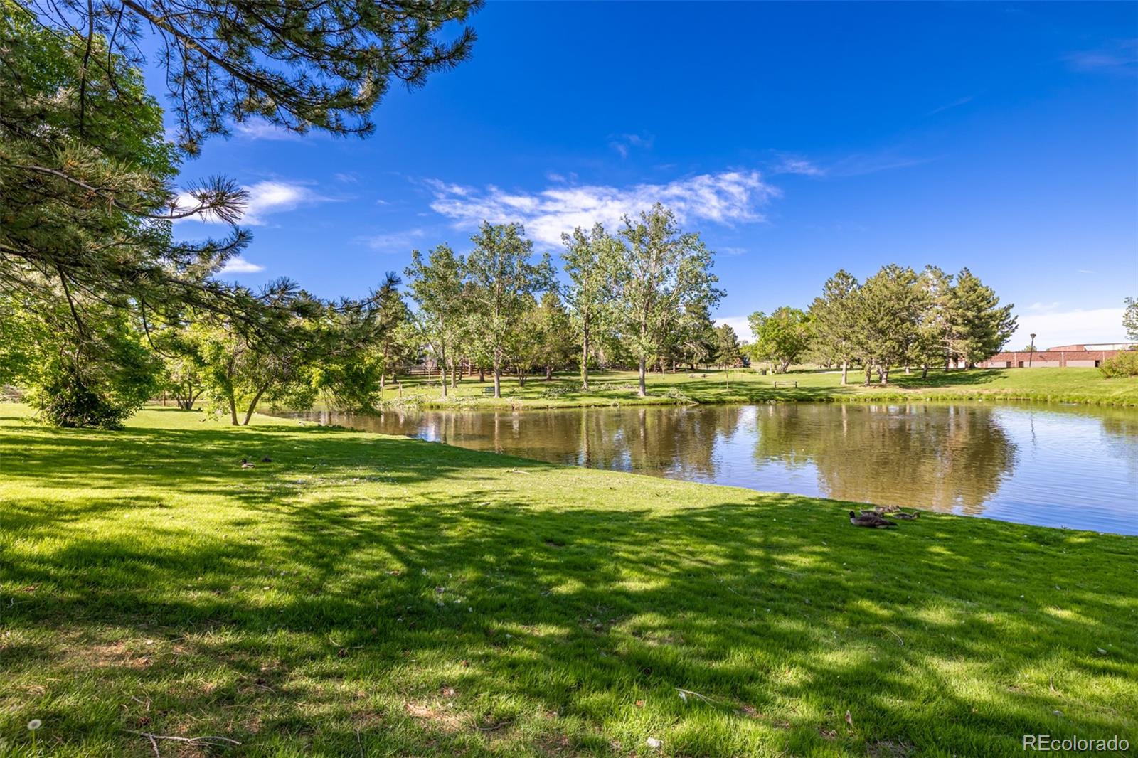 10401 West Red Mountain Road Littleton, CO 80127 - Photo 40 of 40 a view of a lake with a big yard